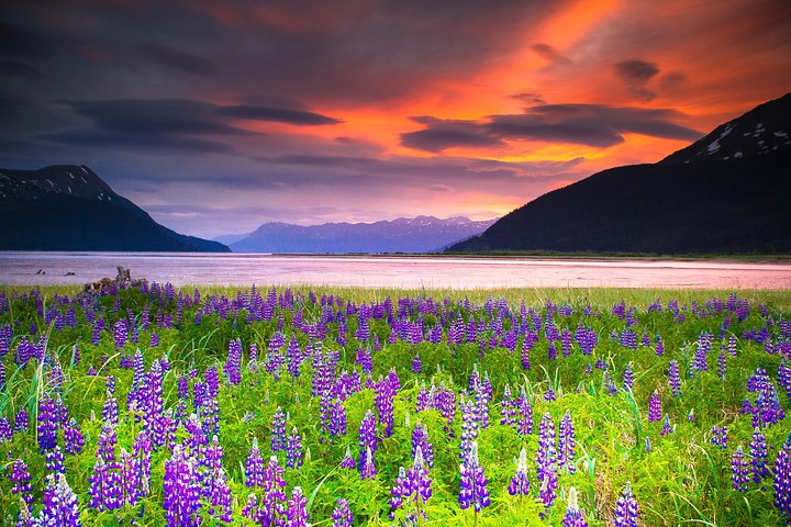 View amazing vistas along the Turnagain Arm